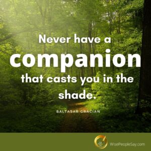 Never Have a Companion That Casts You in the Shade