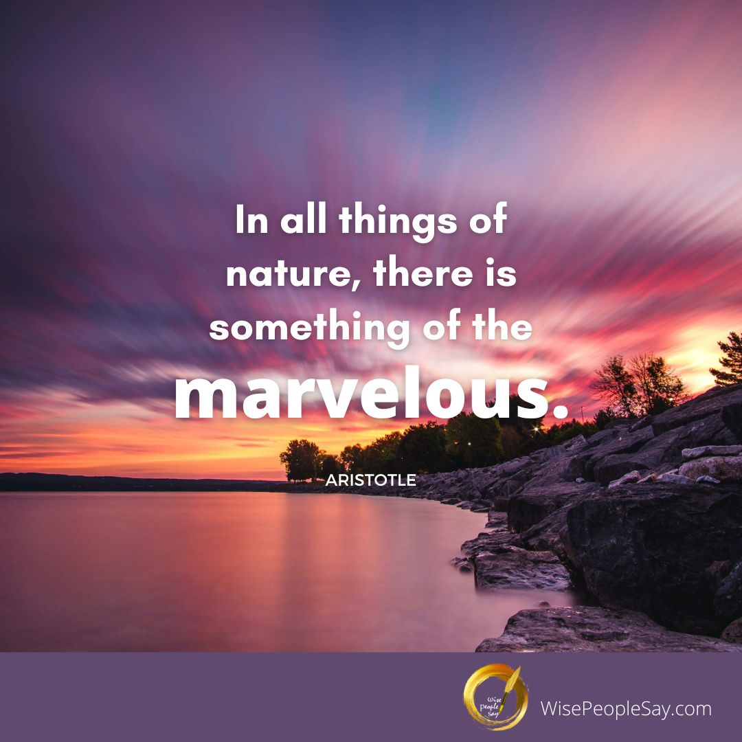 There Is Something of the Marvelous