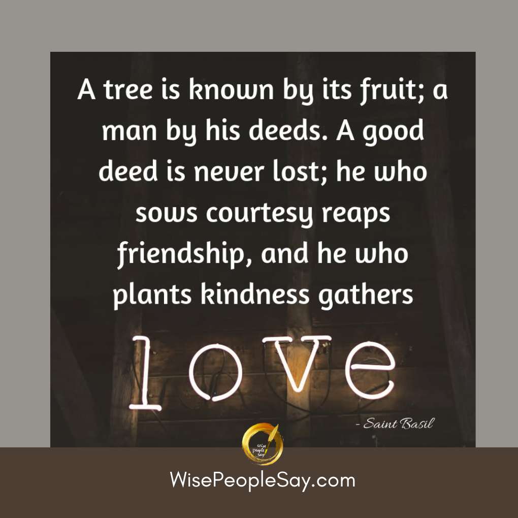 A tree is known by its fruit