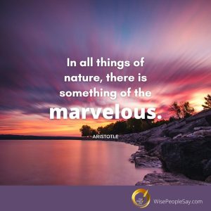 There Is Something of the Marvelous