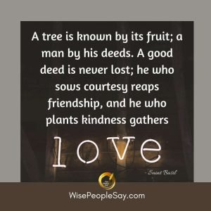 A tree is known by its fruit
