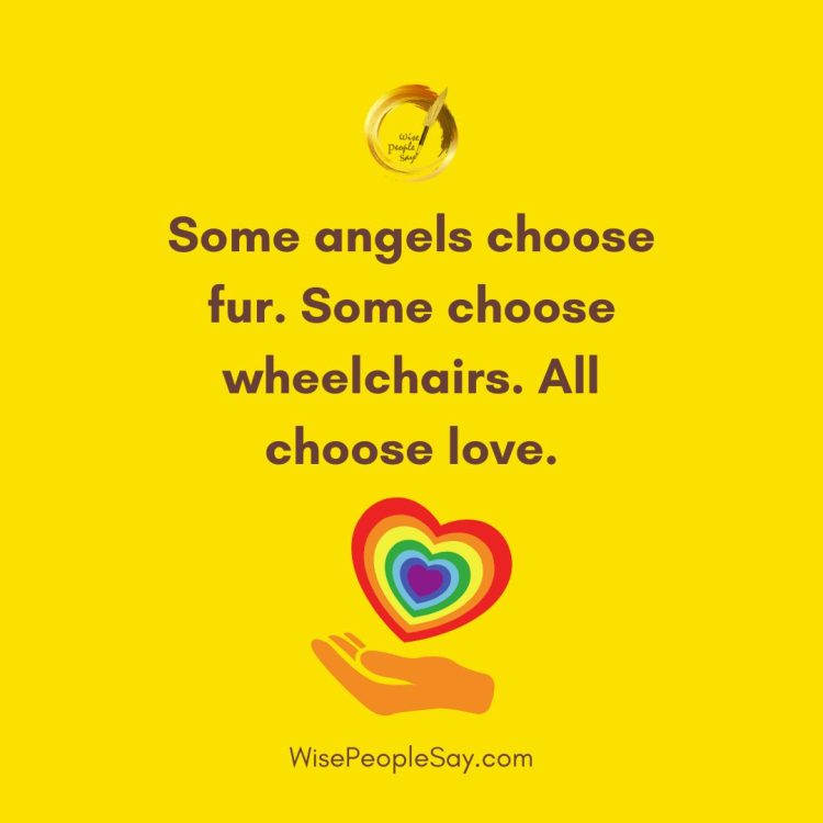 Angels Choose Love – In All Forms and Journeys