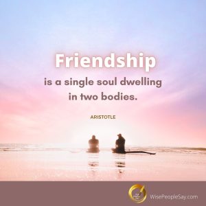 Friendship Is a Single Soul