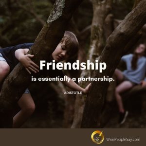 Friendship Is Essentially a Partnership