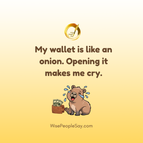 My Wallet Is Like an Onion