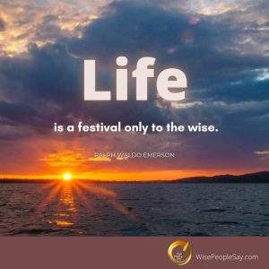 Life Is a Festival