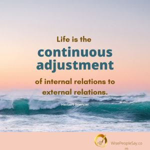 Life Is the Continuous Adjustment