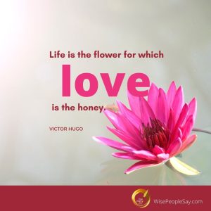 Love Is the Honey