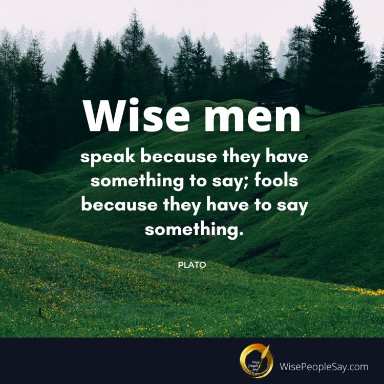 wise men speak